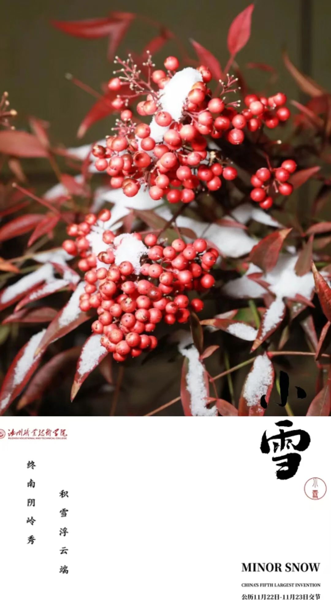 1732284808926652.jpg 1732284808926652.jpg