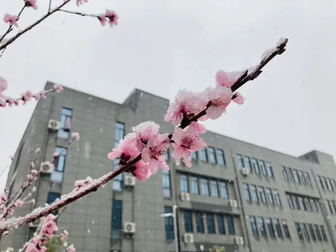 1732286203717647.jpg 1732286203717647.jpg