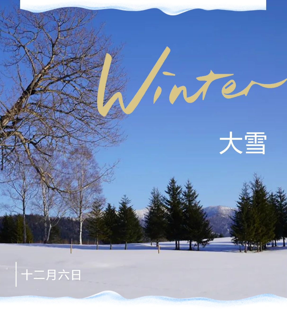 1733492654278416.png 1733492654278416.png