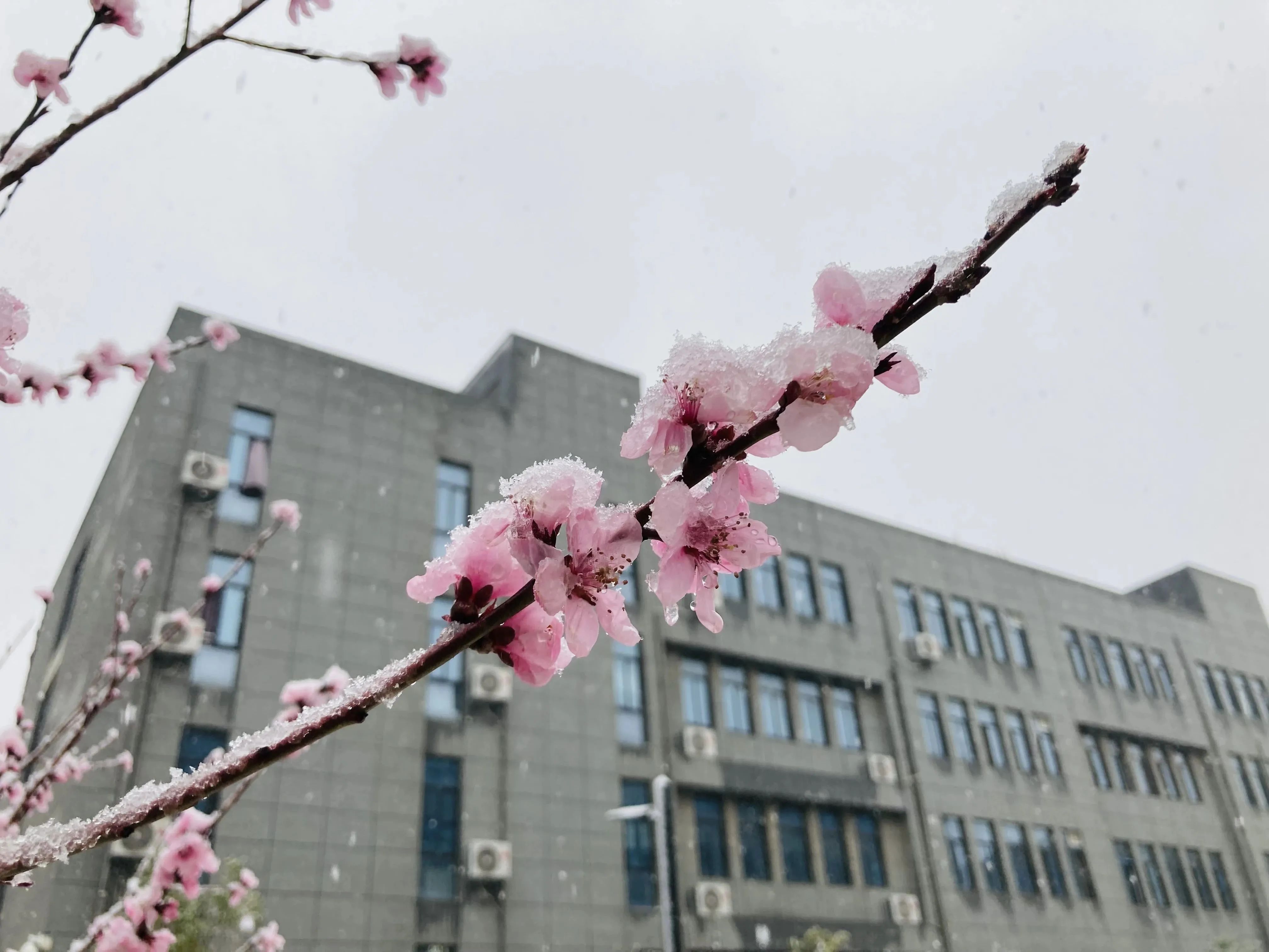 1733493119561833.jpg 1733493119561833.jpg