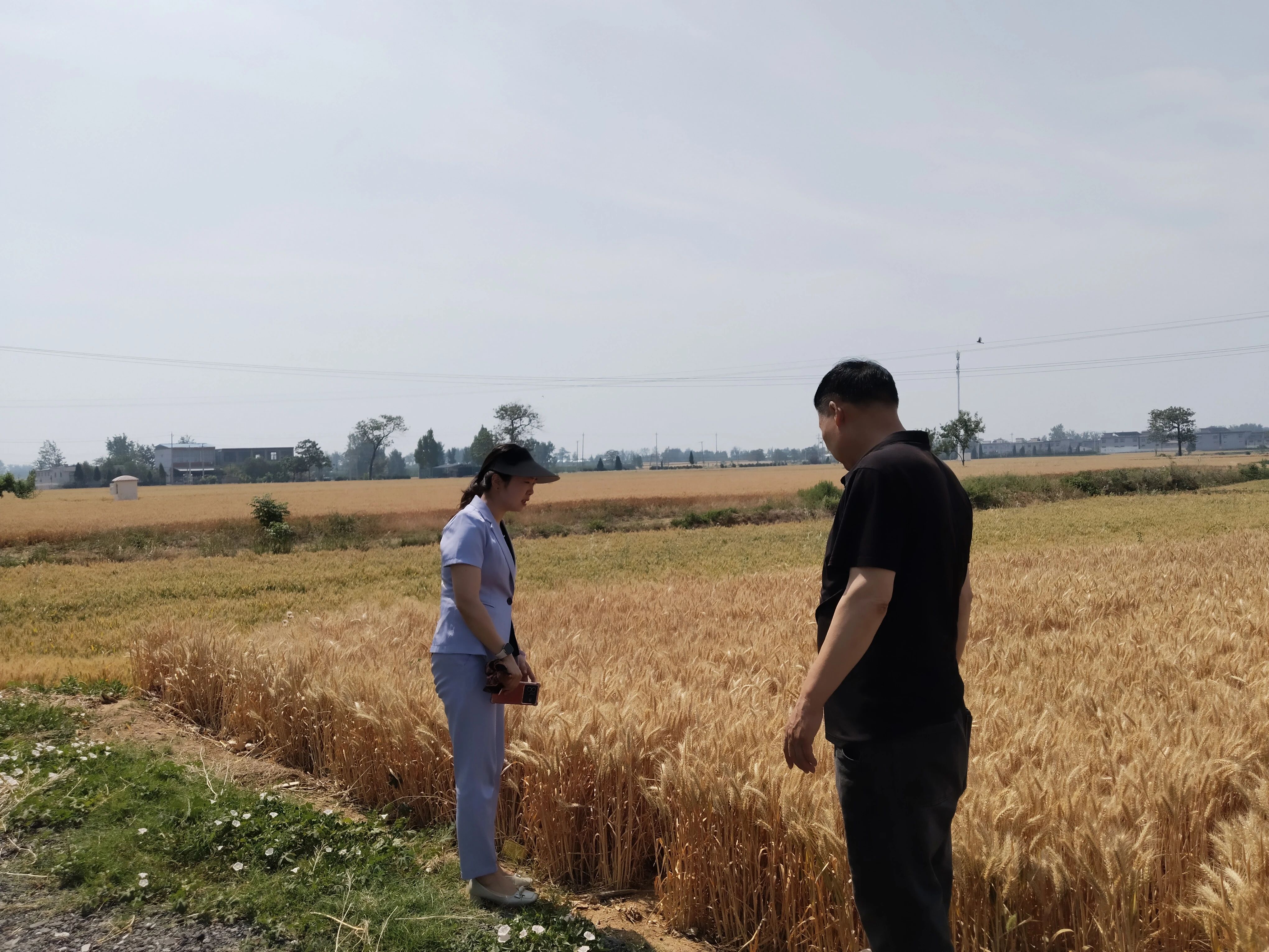 1748016709198881.jpg 1748016709198881.jpg